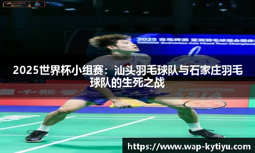 2025世界杯小组赛：汕头羽毛球队与石家庄羽毛球队的生死之战